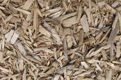 biomass boilers Bladnoch